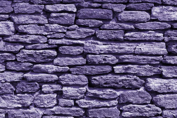 Texture of coquina, limestone (ultra violet) — Stock Photo, Image