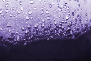 Mantar düğmeli (ultra violet üzerinde çiğ)