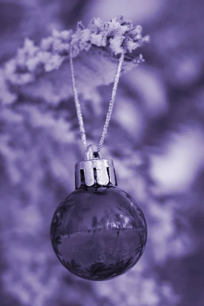 クリスマス ボール - (ウルトラ バイオレット) — ストック写真