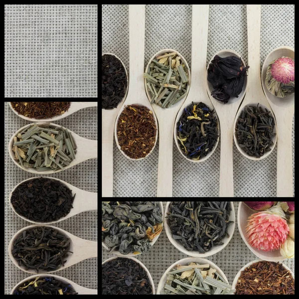 Collage verschiedener Sorten und Teesorten in Holzlöffeln — Stockfoto