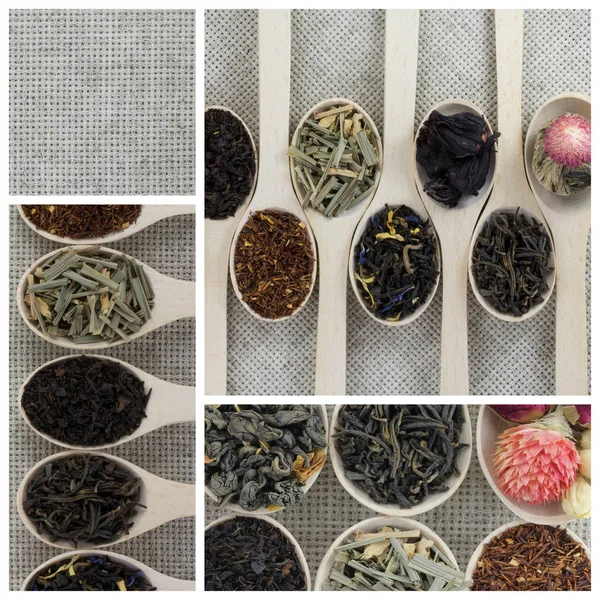 Collage verschiedener Sorten und Teesorten in Holzlöffeln — Stockfoto