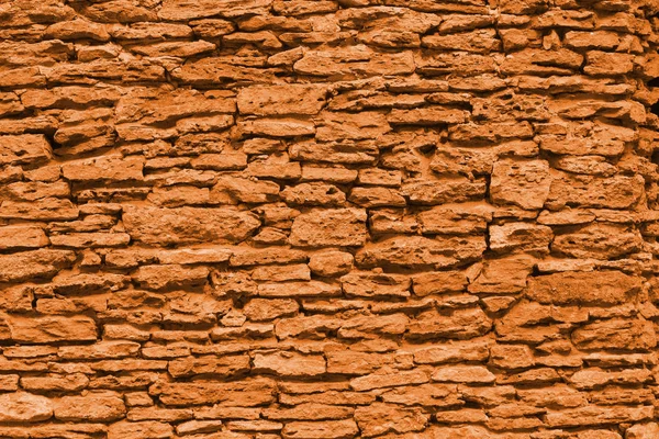 Coquina, kireçtaşı (Sonbahar akçaağaç tonlama dokusuna)