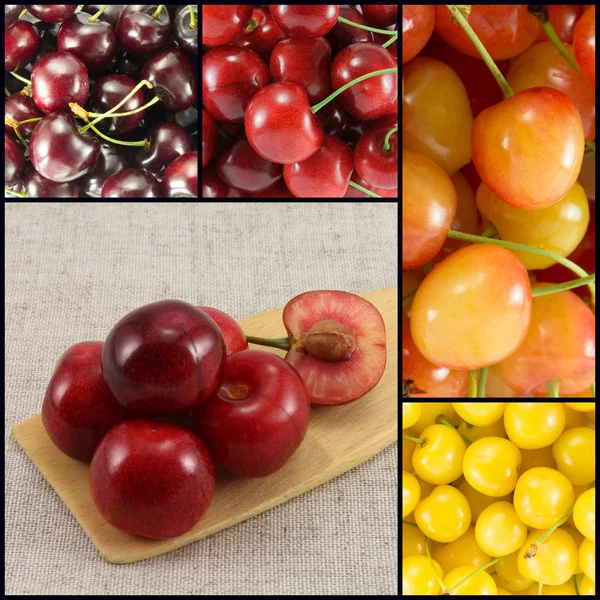 Collage from different varieties of sweet cherry  - square — Stock Photo, Image