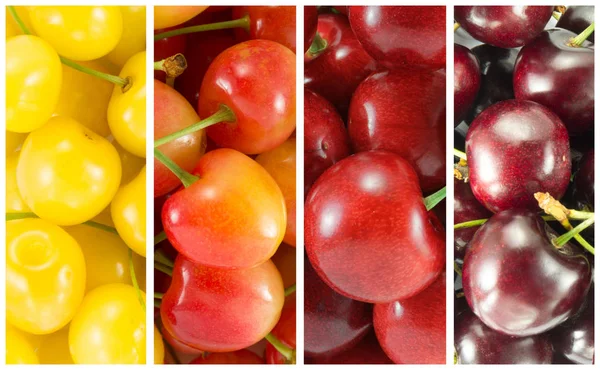 Colagem de diferentes variedades de cereja doce - retângulo — Fotografia de Stock