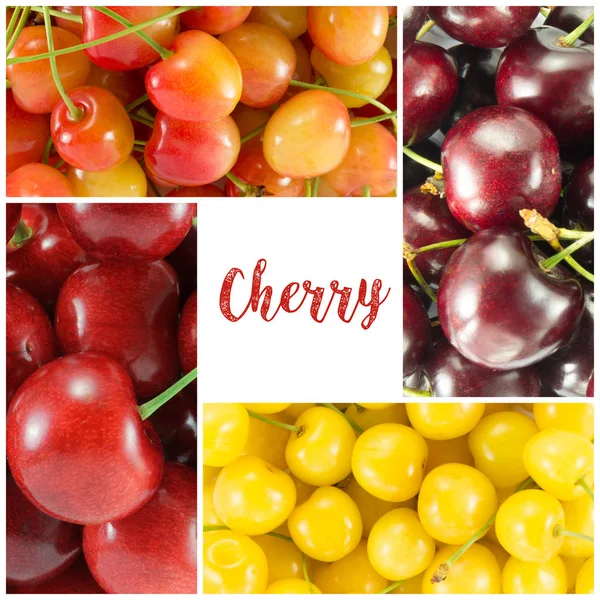 Collage from different varieties of sweet cherry (colorful) - sq — Stock Photo, Image