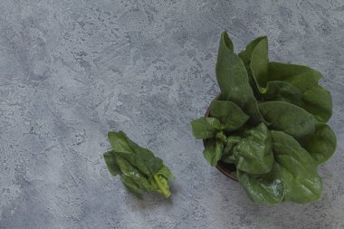Üzerinde gri bir düzensiz ba seramik bir kapta taze yeşil ıspanak yaprakları