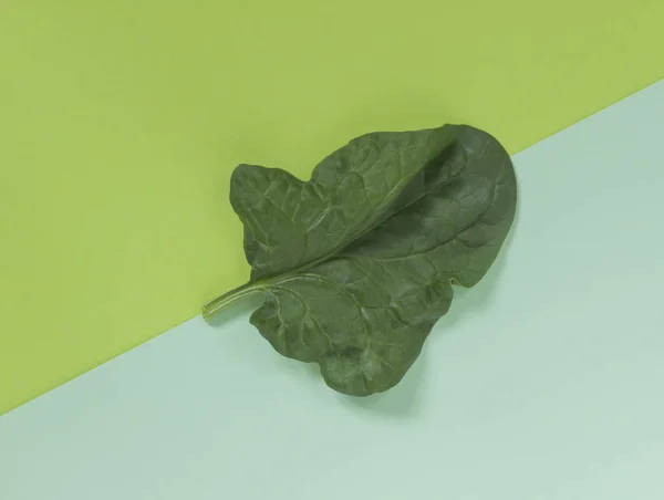 Frisches grünes Spinatblatt auf einem ähnlichen Hintergrund (analog — Stockfoto