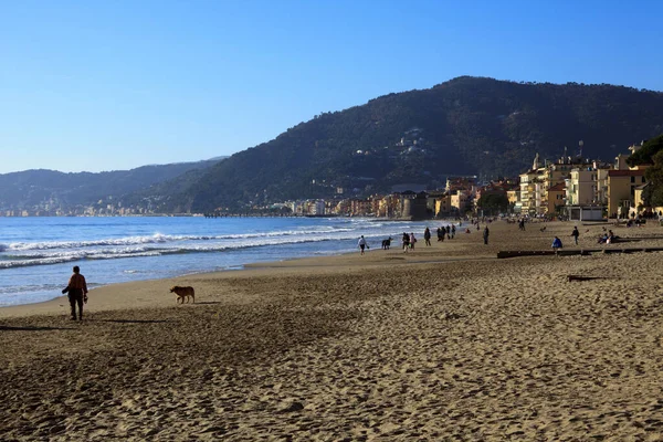 Alassio Italy February 2017 Alassio Beach Riviera Dei Fiori Savona — ストック写真