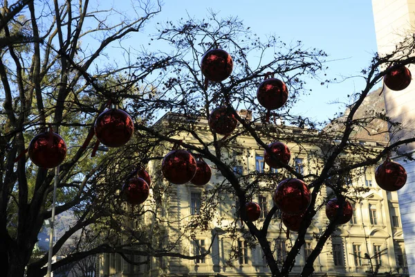 Bolzano Italy December 2019 Christmas Decoration Christmas Market Bolzano Alto — Stockfoto