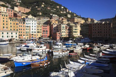 Camogli (GE), Italy - June 01, 2017: Camogli's harbour in the fishing village of Camogli, Gulf of Paradise, Portofino National Park, Genova, Liguria, Italy