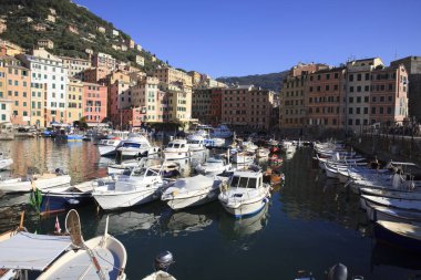 Camogli (GE), Italy - June 01, 2017: Camogli's harbour in the fishing village of Camogli, Gulf of Paradise, Portofino National Park, Genova, Liguria, Italy