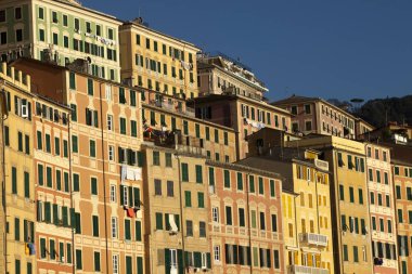Camogli (GE), Italy - June 01, 2017: Colourful houses in the fishing village of Camogli, Gulf of Paradise, Portofino National Park, Genova, Liguria, Italy