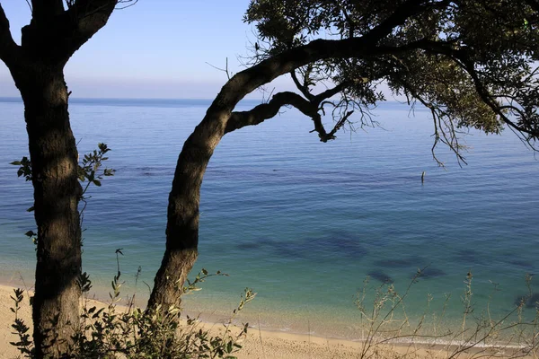 Sirolo Itálie Ledna 2019 Urbani Beach Riviera Del Conero Jaderské — Stock fotografie