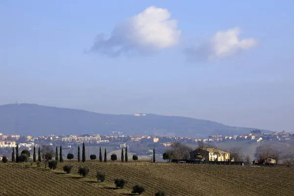 Ancona Italië Januari 2019 Een Typisch Landschap Marche Land Ancona — Stockfoto
