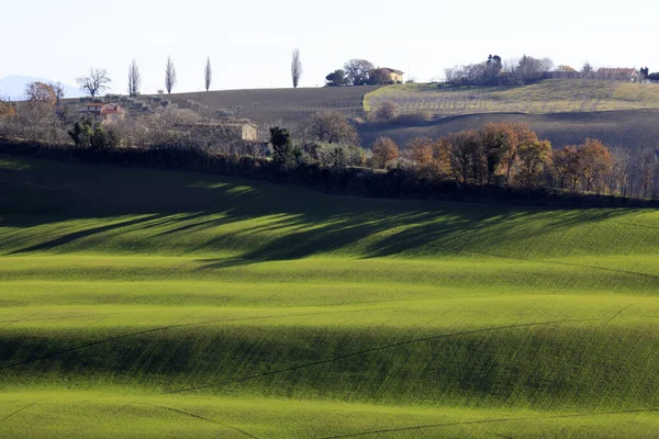 Corinaldo Italia Enero 2019 Paisaje Cerca Del Pueblo Corinaldo Corinaldo — Foto de Stock