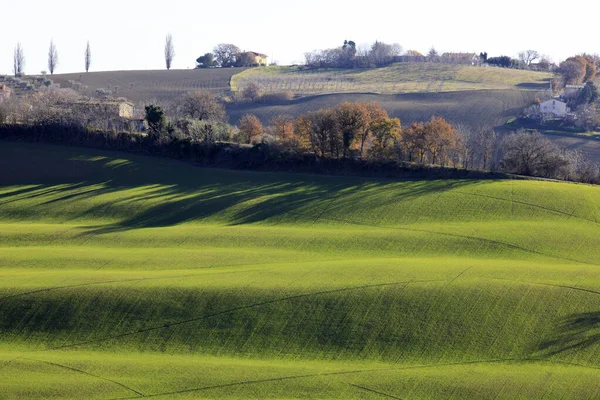 Corinaldo Italia Enero 2019 Paisaje Cerca Del Pueblo Corinaldo Corinaldo —  Fotos de Stock