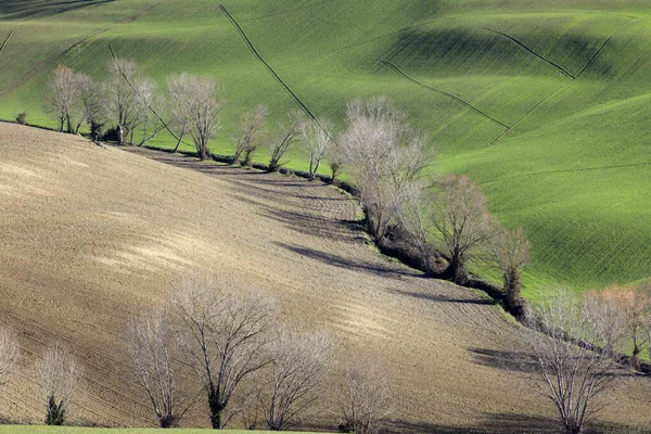 コリアルド イタリア 2019年1月1日 イタリアのマルケ州アナコンアのコリアルド村の近くの風景 — ストック写真