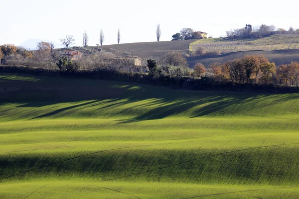 Corinaldo Italia Enero 2019 Paisaje Cerca Del Pueblo Corinaldo Corinaldo — Foto de Stock