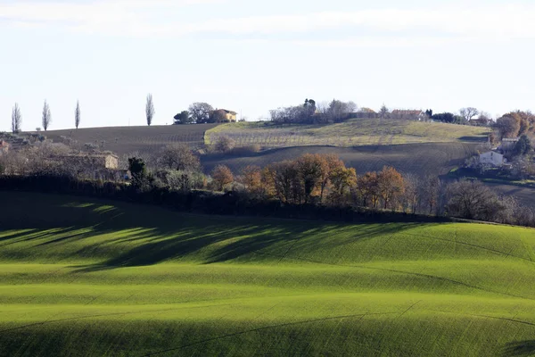 Corinaldo Italië Januari 2019 Het Landschap Bij Corinaldo Corinaldo Ancona — Stockfoto
