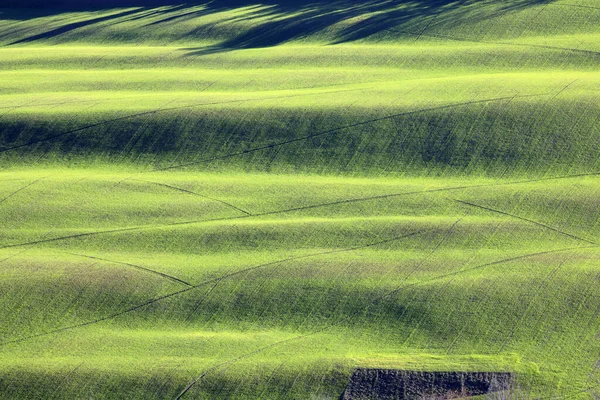 Corinaldo Italia Gennaio 2019 Paesaggio Vicino Corinaldo Paese Corinaldo Ancona — Foto Stock