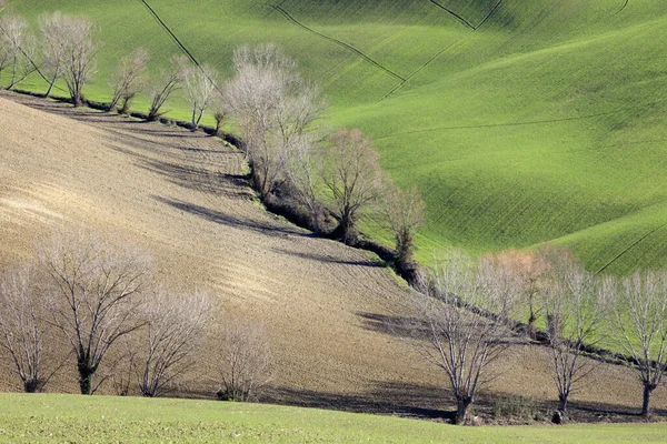 コリアルド イタリア 2019年1月1日 イタリアのマルケ州アナコンアのコリアルド村の近くの風景 — ストック写真