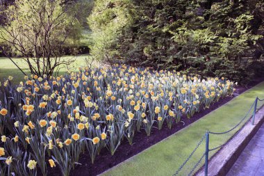 Verbania (Vco), İtalya - Nisan 01, 2017: 