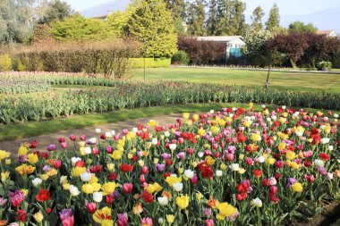 Verbania (Vco), İtalya - Nisan 01, 2017: 