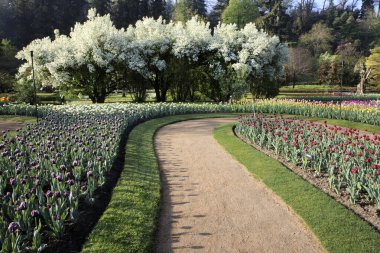 Verbania (Vco), İtalya - Nisan 01, 2017: 