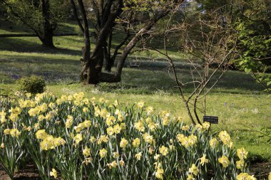 Verbania (Vco), İtalya - Nisan 01, 2017: 