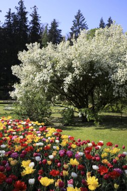 Verbania (Vco), İtalya - Nisan 01, 2017: 