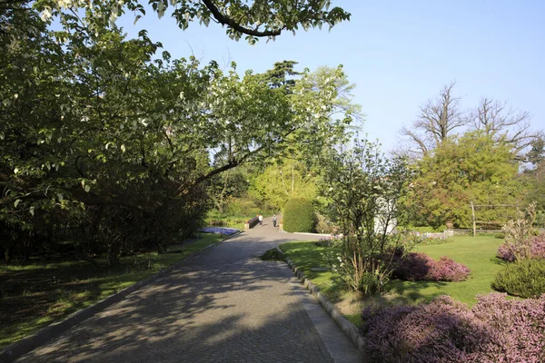 Verbania Vco Italien April 2017 Botanischer Garten Villa Taranto Verbania — Stockfoto