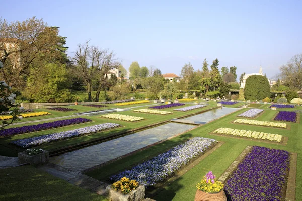 Verbania Vco Włochy Kwiecień 2017 Ogrody Botaniczne Villa Taranto Verbania — Zdjęcie stockowe