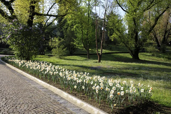 Botanischer Garten Villa Taranto Verbania Piemont Italien — Stockfoto