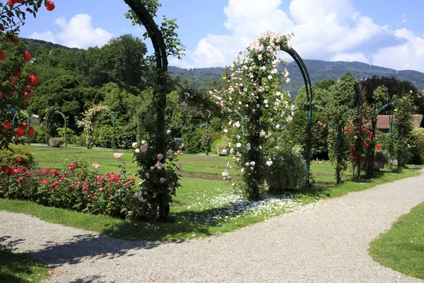 Stresa Vco Ιταλία Ιουνίου 2018 Villa Pallavicino Garden Stresa Verbano — Φωτογραφία Αρχείου