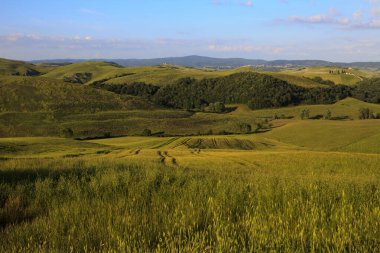 Ascanio (Si), İtalya - 01 Haziran 2016: Girit Senesi, Asciano, Siena, Tuscany, İtalya