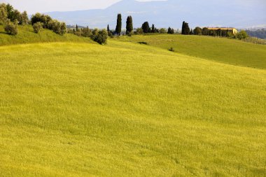 Ascanio (Si), İtalya - 01 Haziran 2016: Girit Senesi, Asciano, Siena, Tuscany, İtalya