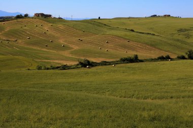 Ascanio (Si), İtalya - 01 Haziran 2016: Girit Senesi, Asciano, Siena, Tuscany, İtalya