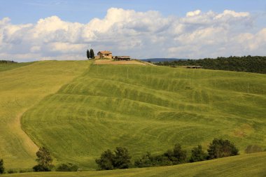 Ascanio (Si), İtalya - 01 Haziran 2016: Girit Senesi, Asciano, Siena, Tuscany, İtalya
