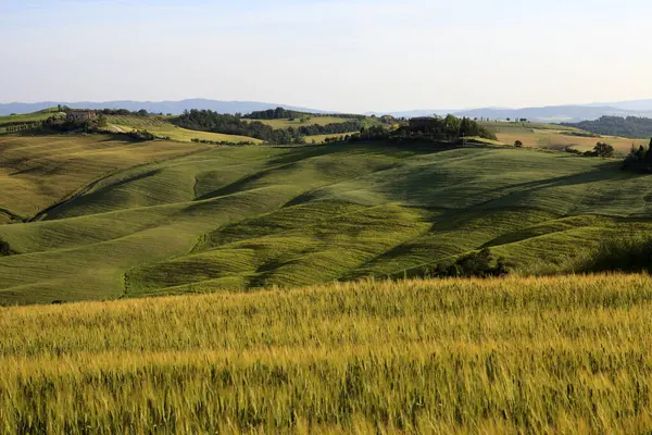 Asciano Italië Juni 2016 Typisch Kreta Senesi Asciano Siena Toscane — Stockfoto