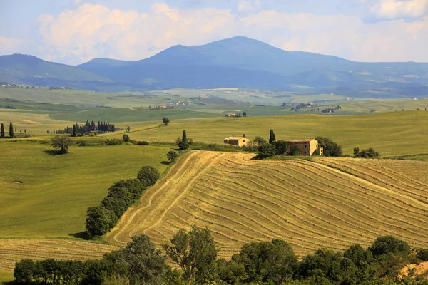 Asciano Italy June 2016 Typical Scenary Crete Senesi Asciano Siena — Stock Photo, Image