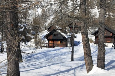 Devero Park (Verbano-Cusio-Ossola), İtalya - 15 Ocak 2017: Alpe Devero Park, Ossola Vco, Piedmont, İtalya