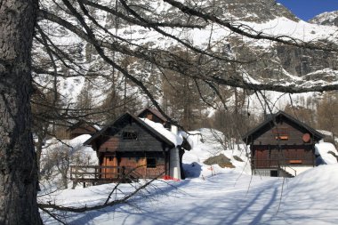 Devero Park (Verbano-Cusio-Ossola), İtalya - 15 Ocak 2017: Alpe Devero Park, Ossola Vco, Piedmont, İtalya
