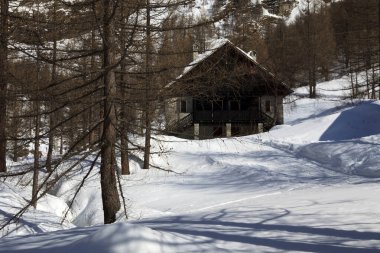 Devero Park (Verbano-Cusio-Ossola), İtalya - 15 Ocak 2017: Alpe Devero Park, Ossola Vco, Piedmont, İtalya