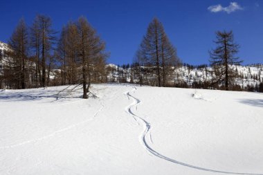 Devero Parkı (Verbano-Cusio-Ossola), İtalya - 15 Ocak 2017: Alpe Devero Parkı, Ossola Vco, Piedmont, İtalya