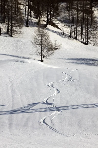 Devero Park (Verbano-Cusio-Ossola), İtalya - 15 Ocak 2017: Alpe Devero Park manzarası, Ossola Vco, Piedmont, İtalya
