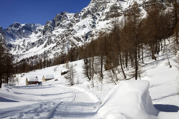 Devero Park Verbano Cusio Ossola Olaszország 2017 Január Alpe Devero — Stock Fotó