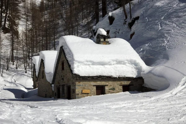 Devero Park Verbano Cusio Ossola Italien Januar 2017 Typische Häuser — Stockfoto