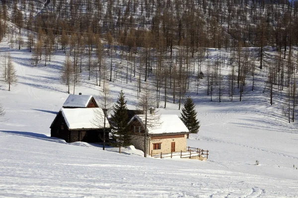 Devero Park Verbano Cusio Ossola Italien Januar 2017 Typische Häuser — Stockfoto