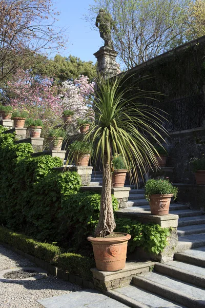 Stresa Verbano Cusio Ossola June 2017 Isola Bella Garden Maggiore — 图库照片