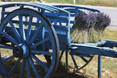 Valensole, Provence / Fransa - 23 Mayıs 2016: Fransa, Provence-Alpes-Cote d 'Azur, Alpes-de-Haute-Provence, Valensole' da kurutulmuş çiçek demetleri